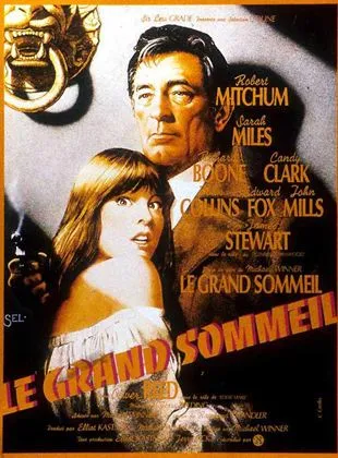 Le Grand sommeil