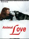 Animal Love