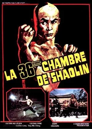 La 36ème chambre de Shaolin