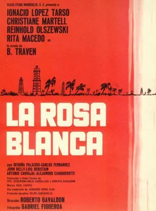 Rosa blanca