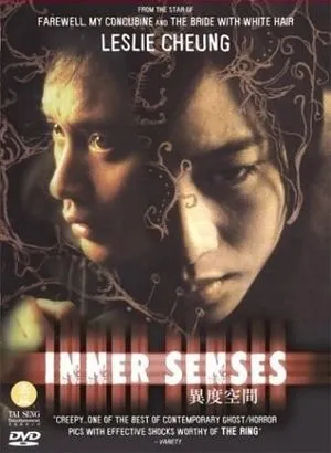 Inner senses