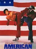 American Kickboxer