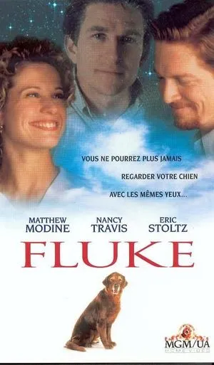 Fluke