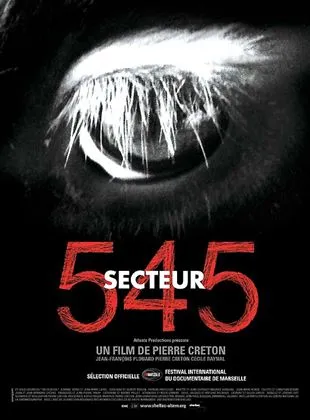 Secteur 545