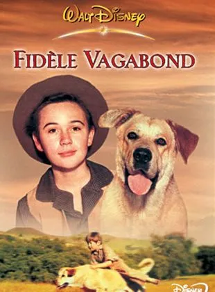 Fidèle vagabond