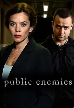 Public Enemies