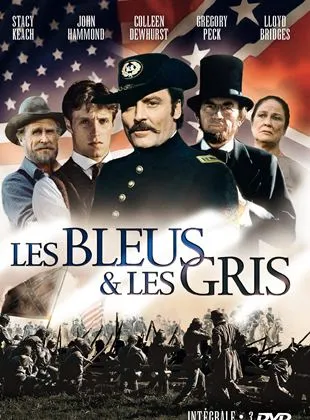 Les Bleus et les Gris