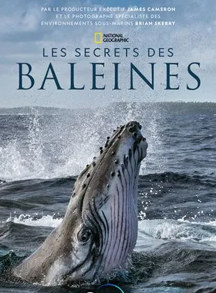 Les Secrets des baleines