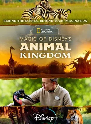 Au cœur de Disney’s Animal Kingdom