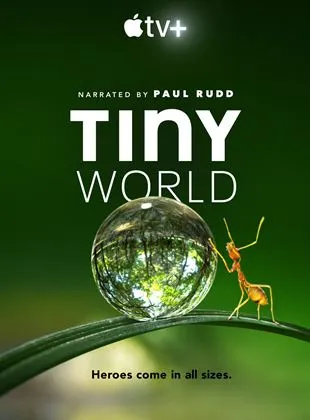 Tiny World