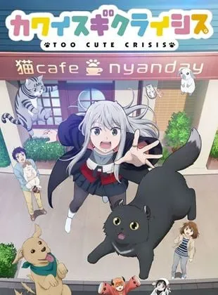 Too Cute Crisis